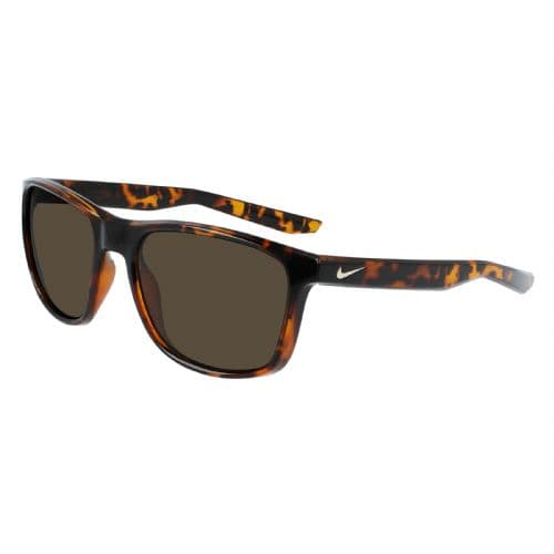 BROWN/POLARIZED BROWN