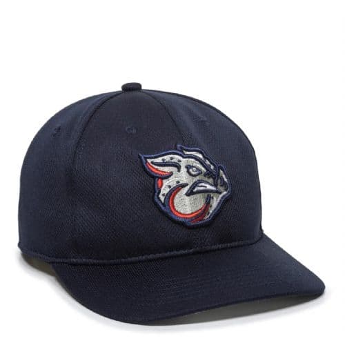 Iron Pigs