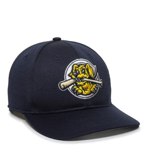 Riverdogs