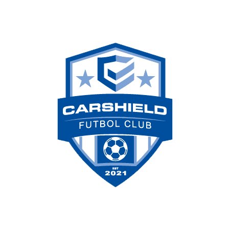 1381000-shield-MTS.png